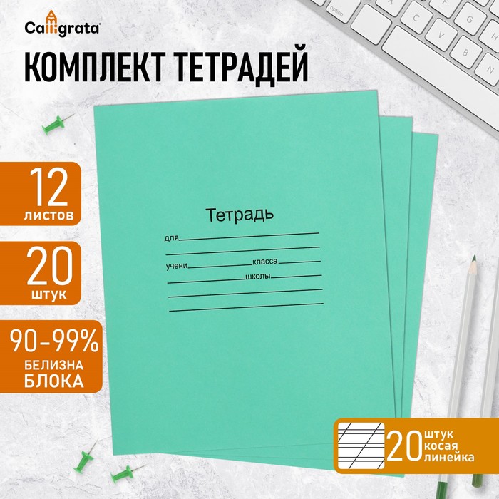 Набор тетрадей 12 листов в косую линейку «Зелёная обложка», 60 г/м², белые листы, 20 шт.