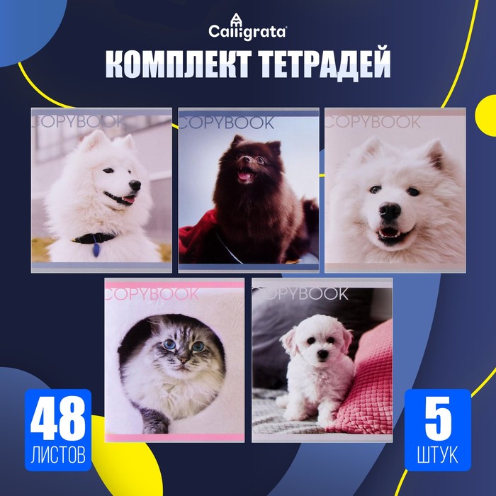 Комплект тетрадей из 5 штук, 48 листов в клетку Calligrata