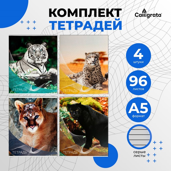 Комплект тетрадей из 4 штук, 96 листов в линию Calligrata