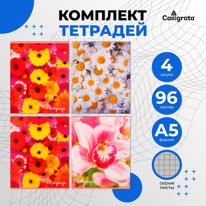 Набор тетрадей 96 листов в клетку Calligrata