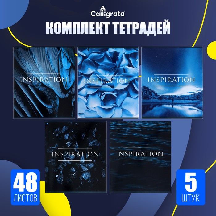 Комплект тетрадей из 5 штук, 48 листов в клетку Calligrata