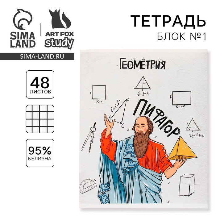 Тетрадь предметная 48 листов «Геометрия», А5, в клетку, со справочными материалами, обложка мелованный картон 230 г