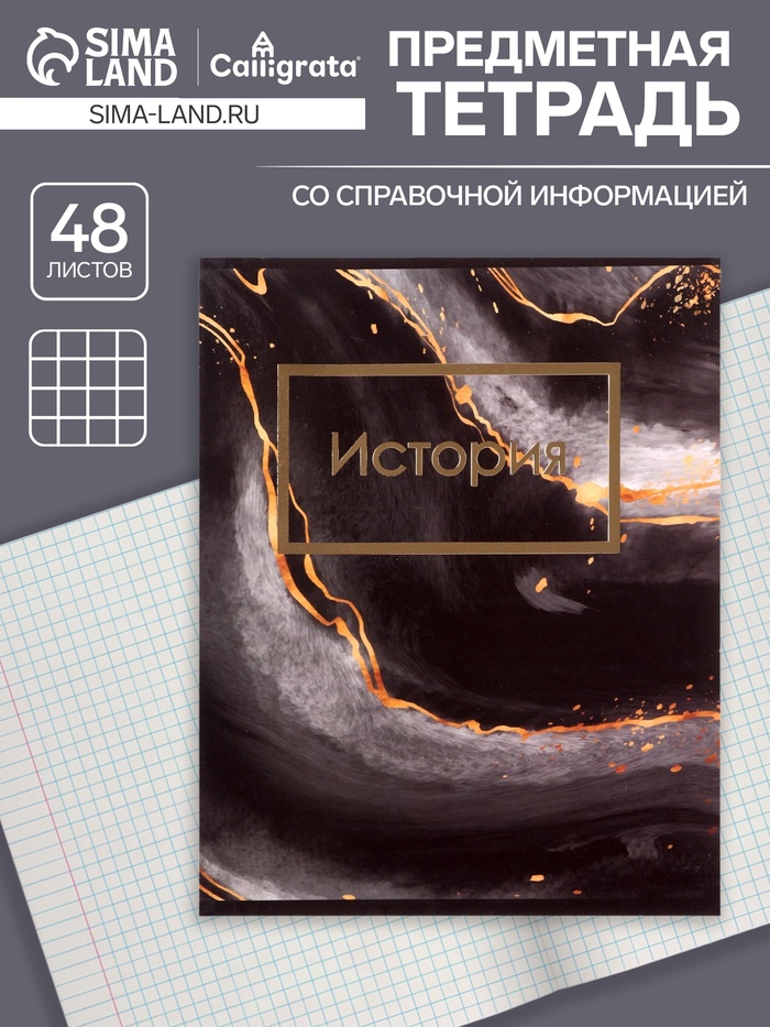 Тетрадь предметная 48 листов в клетку Calligrata, «Мрамор тёмный. История», обложка мелованный картон
