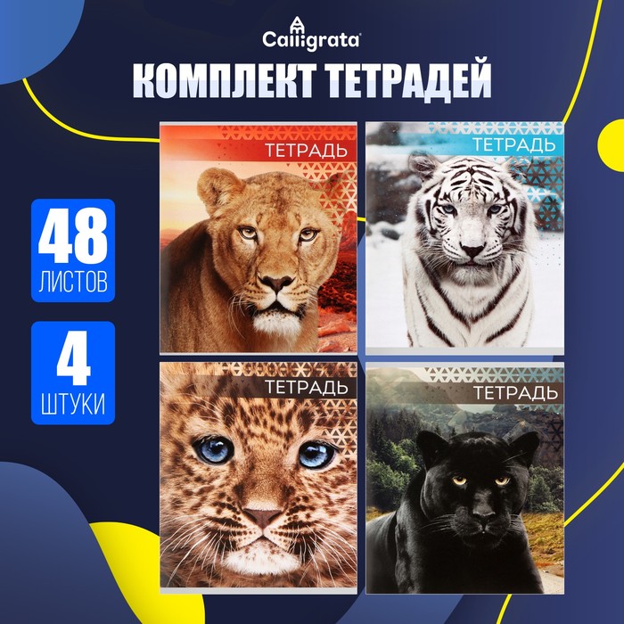 Комплект тетрадей из 4 штук, 48 листов в клетку Calligrata