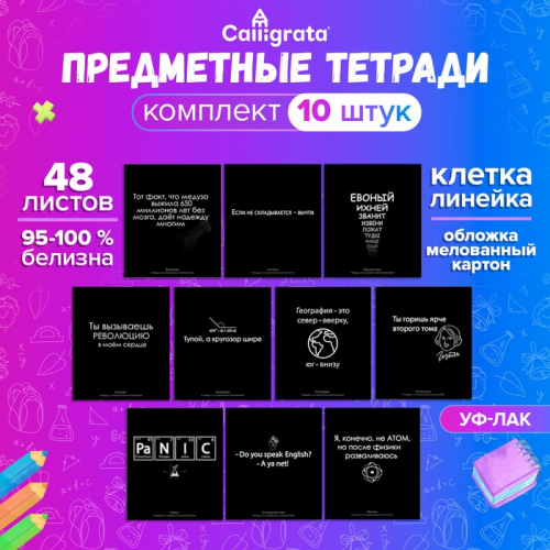 Комплект предметных тетрадей 48 листов 
