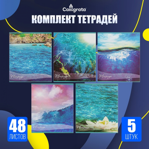 Комплект тетрадей из 5 штук (4 разные + 1 повторяющаяся), 48 листов в клетку Calligrata 
