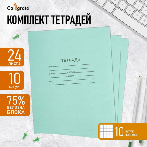 Набор тетрадей 24 листа в клетку КПК «Зелёная обложка», серые листы, 10 шт.