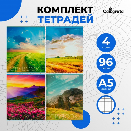 Комплект тетрадей из 4 штук, 96 листов в клетку Calligrata 