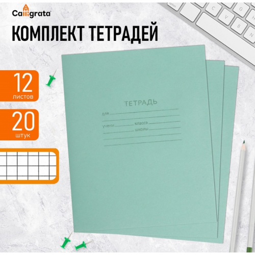 Набор тетрадей 12 листов в клетку «Зелёная обложка», белые листы, 20 шт.