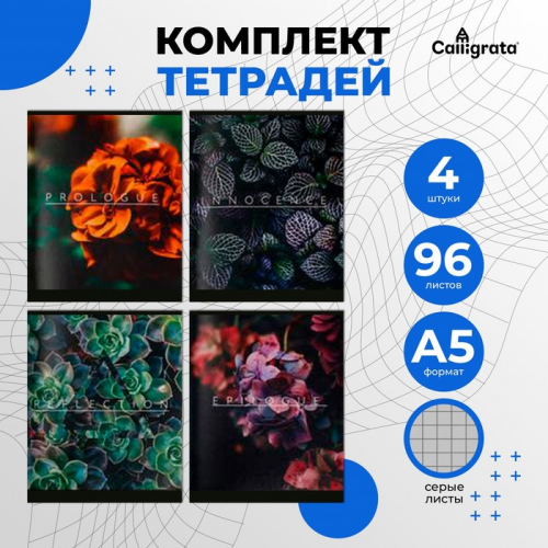 Комплект тетрадей из 4 штук, 96 листов в клетку Calligrata 