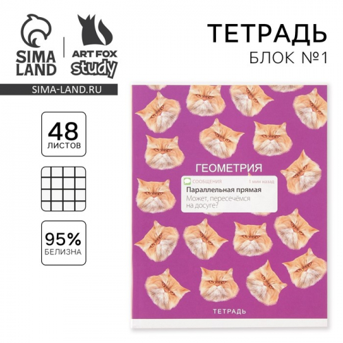 Тетрадь предметная 48 листов «Геометрия», А5, в клетку, со справочными материалами, обложка мелованный картон 230 г, белизна 96%