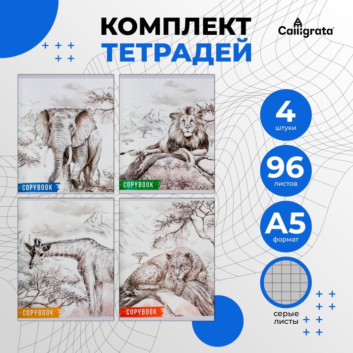 Комплект тетрадей из 4 штук, 96 листов в клетку Calligrata