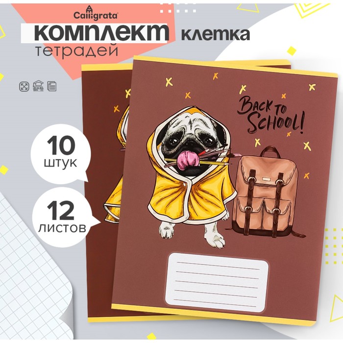 Комплект тетрадей из 10 штук, 12 листов в клетку Calligrata