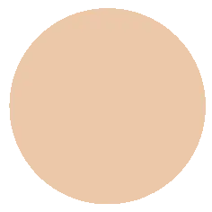 Triumpf CTW13 Тональн. крем BIO Organic Foundation тон 03 Натур.-Кремовый (Дозатор -35г)