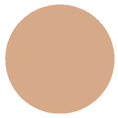 Triumpf CTW13 Тональн. крем BIO Organic Foundation тон 05 Золотой Песок (Дозатор -35г)