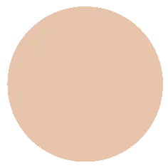 Triumpf CTW13 Тональн. крем BIO Organic Foundation тон 01 Натуральный (Доз.-35г)