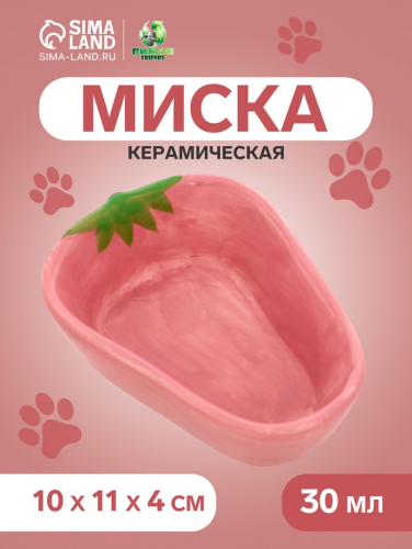 Миска керамическая для грызунов 