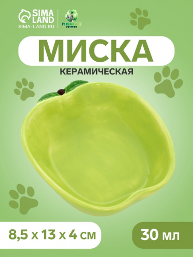Миска керамическая для грызунов 