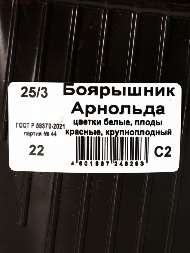 Саженец Боярышник Арнольда, горшок С2, 1 шт.