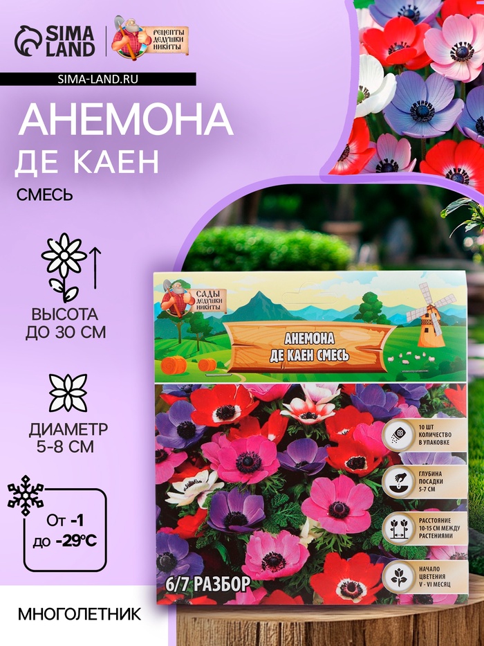 Анемона «Де Каен смесь», многолетник, луковица, р-р 6/7, 10 шт.