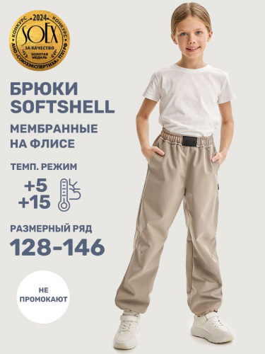 Брюки 2л19225 какао