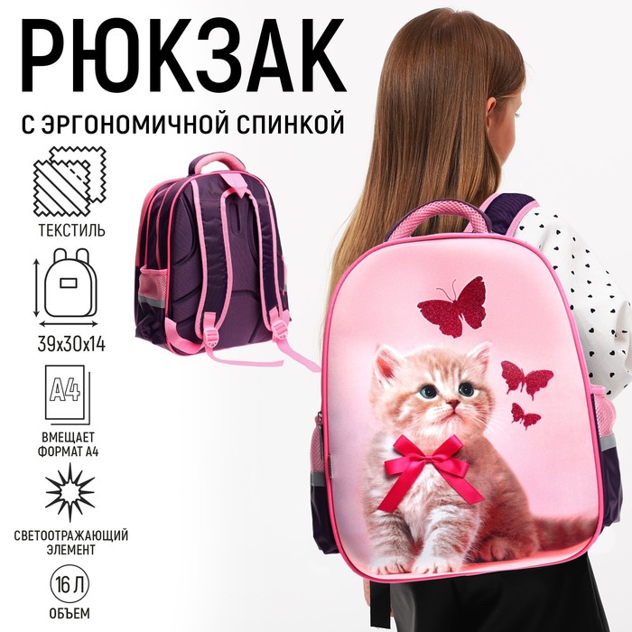 Рюкзак каркасный школьный, 39 х 30 х 14 см, Calligrata