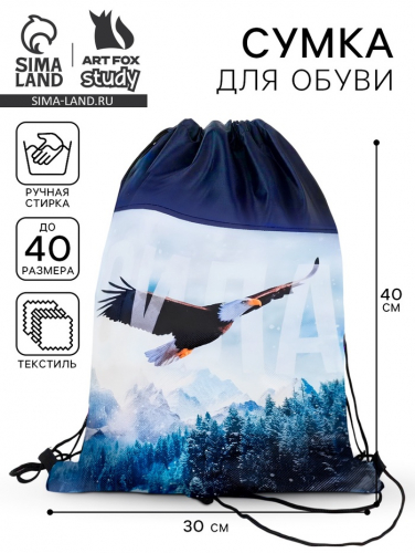 Мешок для обуви н/полотно «Сила» 41×30 см