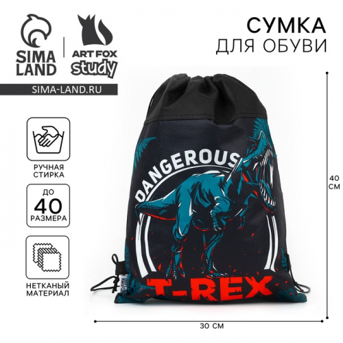 Мешок для обуви «T-REX динозавр» нетканое полотно, размер 41×30 см