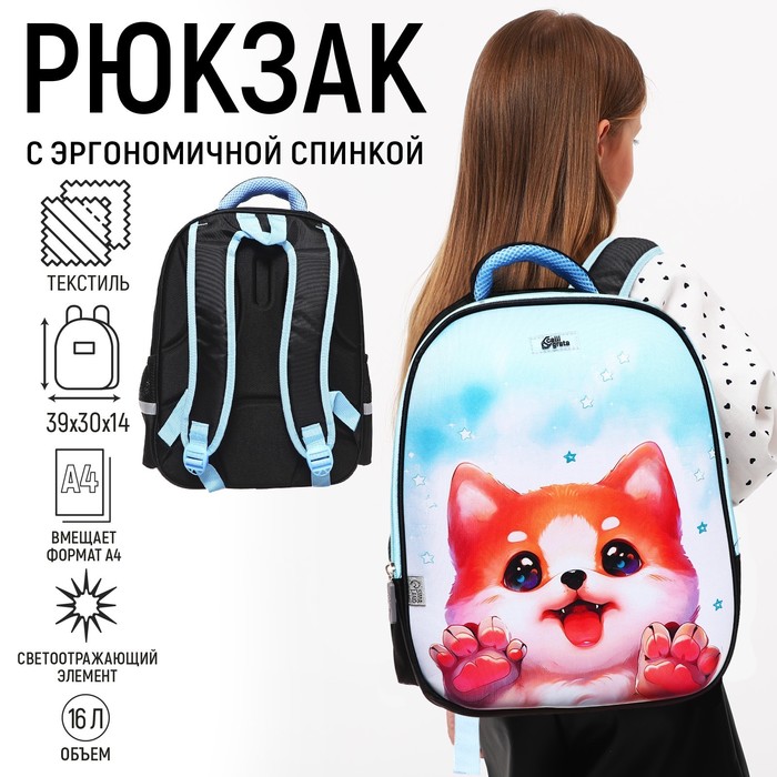 Рюкзак каркасный школьный, 39 х 30 х 14 см, Calligrata