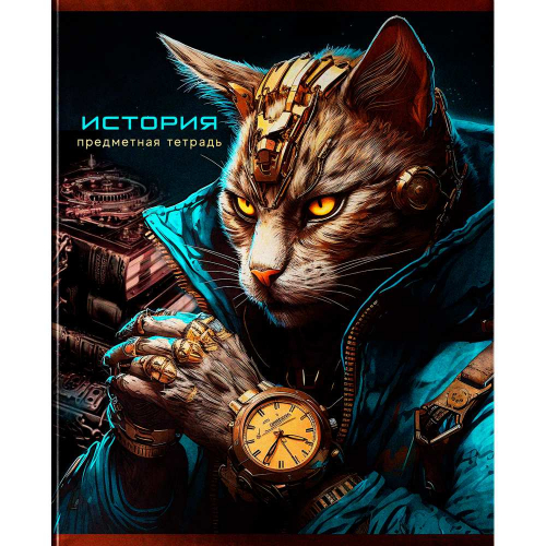 Тетрадь предмет 48 л. BG 