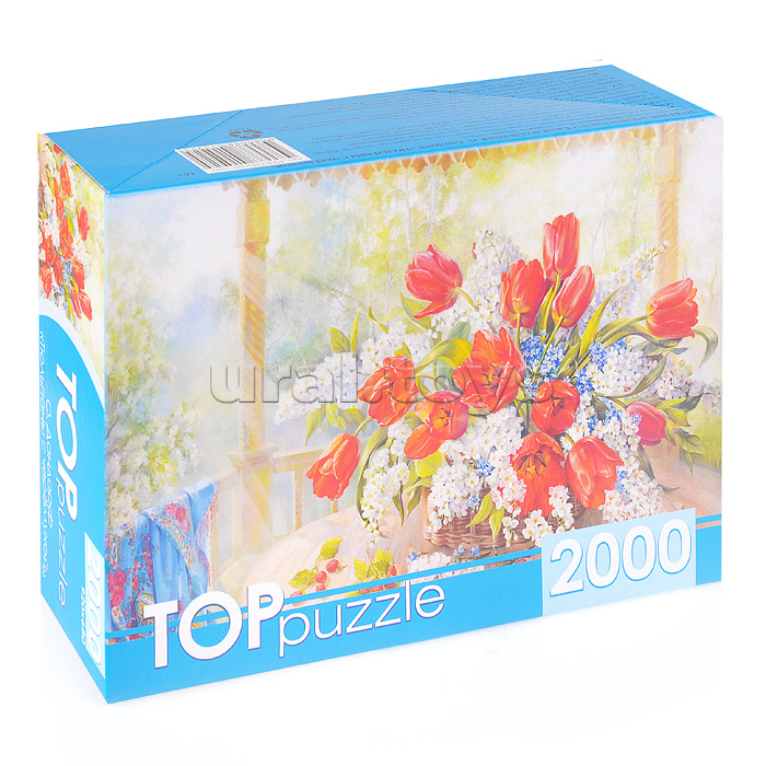 Пазлы 2000 TOPpuzzle