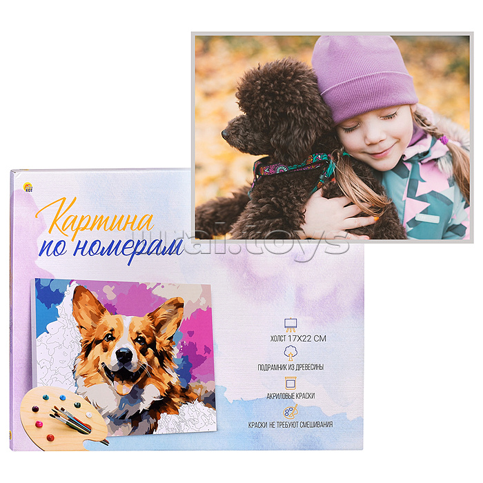 Холст с красками 17х22 по номерам