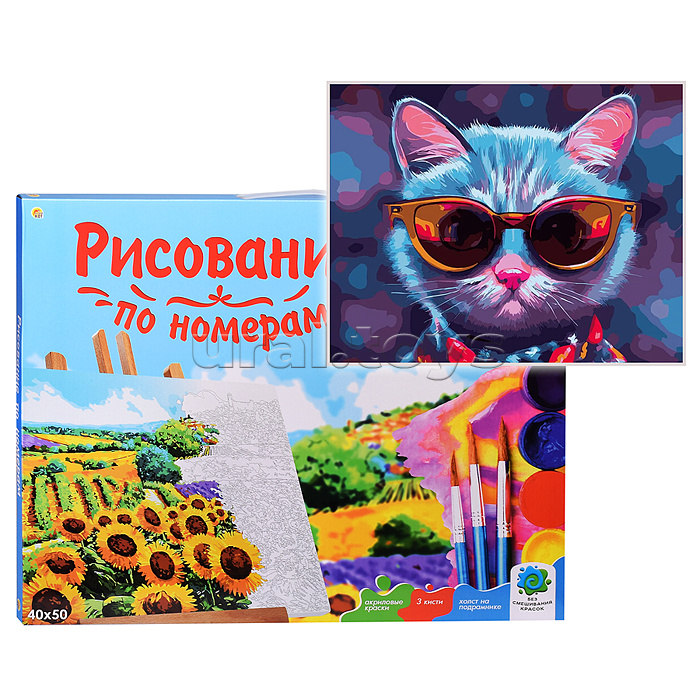 Холст с красками 40х50 по номерам. Кот в очках (24 цв.)