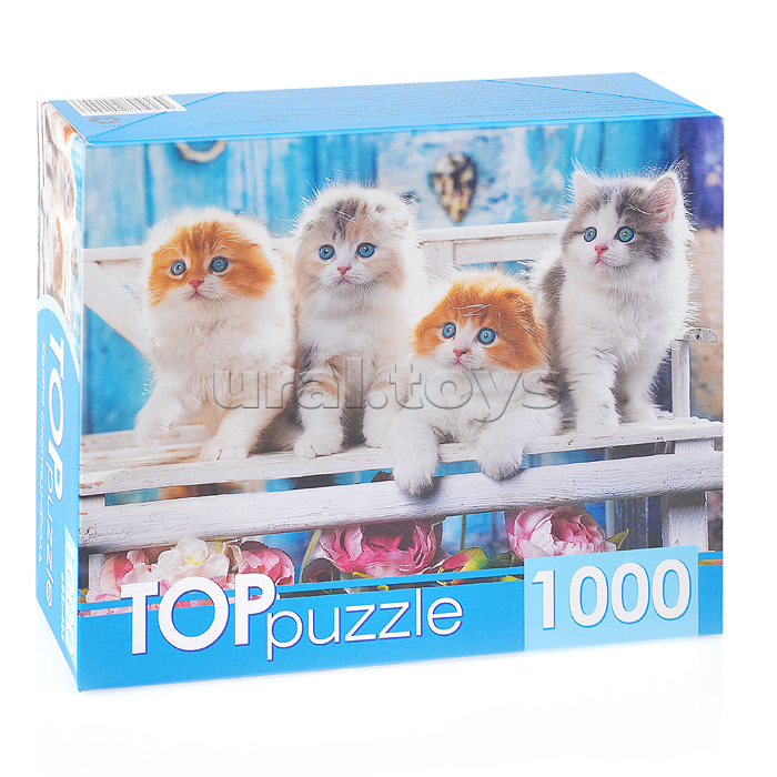 Пазлы 1000 TOPpuzzle