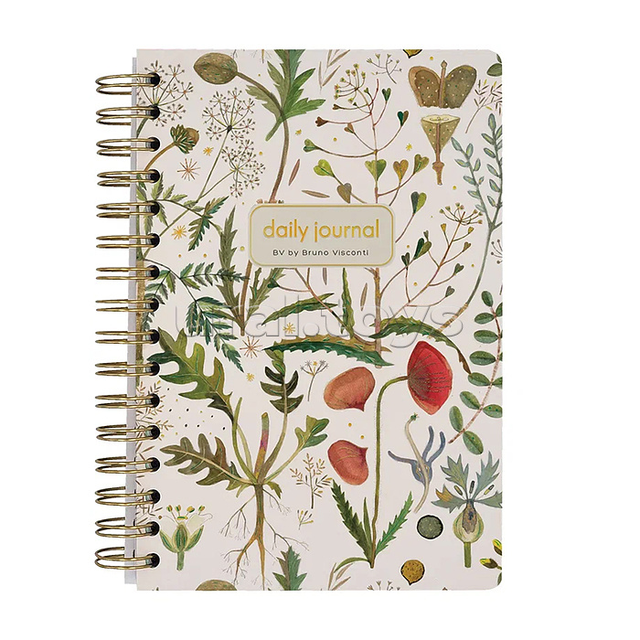 Ежедневник на золотом гребне «Cute diary» А5, BV, 136 л,