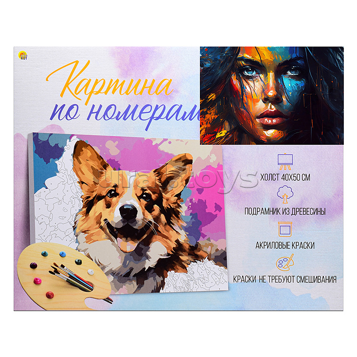 Холст с красками 40х50 по номерам