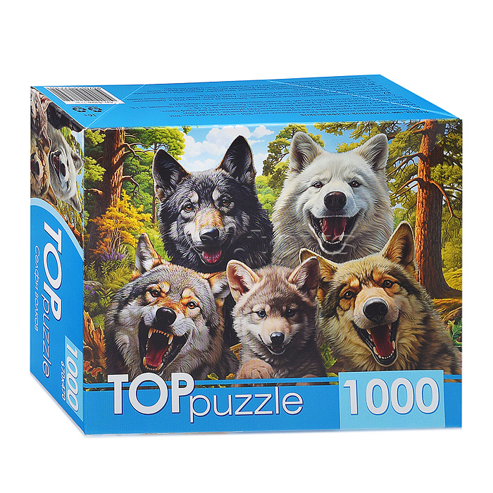 Пазлы 1000 TOPpuzzle