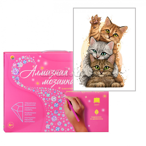 Алмазная мозаика 17х22 
