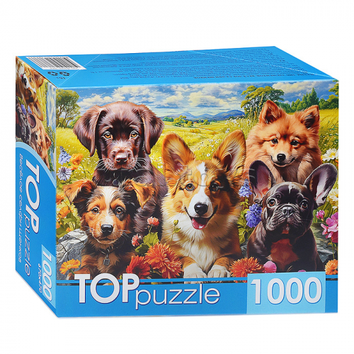 Пазлы 1000 TOPpuzzle 