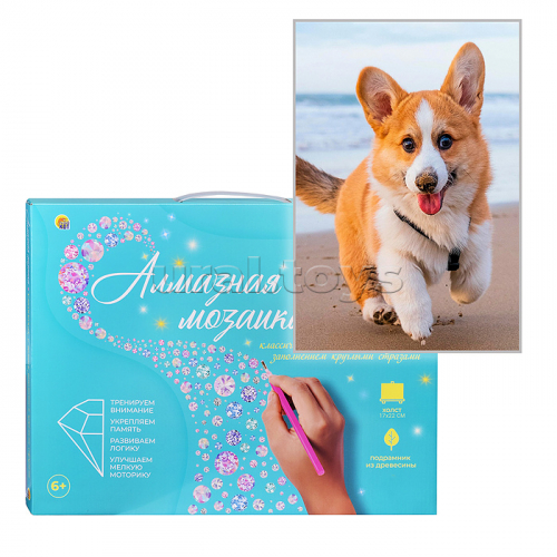 Алмазная мозаика 17х22 