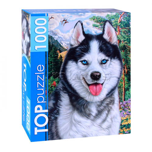 Пазлы 1000 TOPpuzzle 