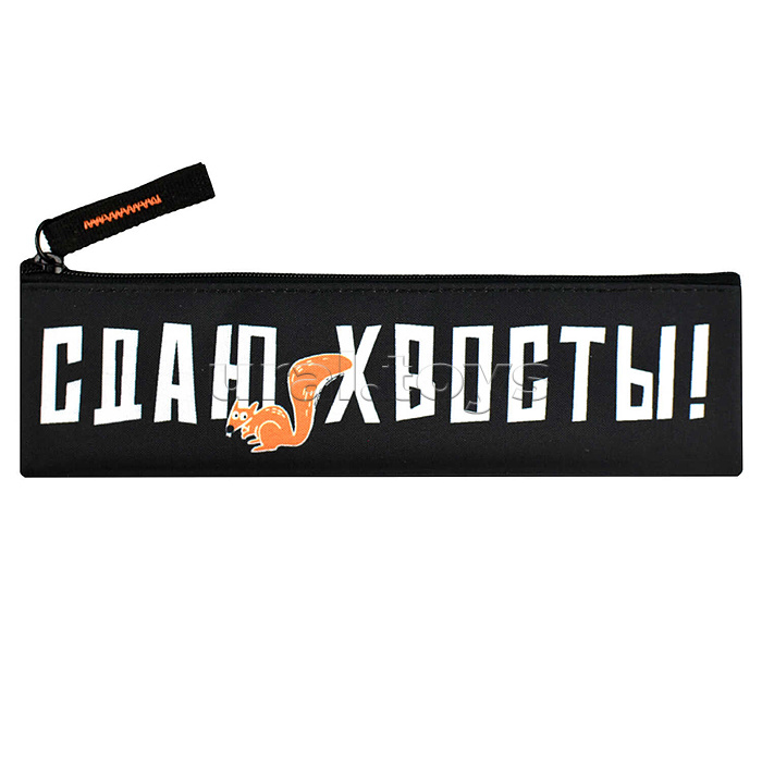 Пенал школьный