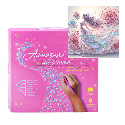 Алмазная мозаика 30х30 