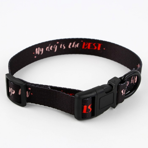 Ошейник My dog is the best, застёжка - фастекс, 2 см 25-40 см