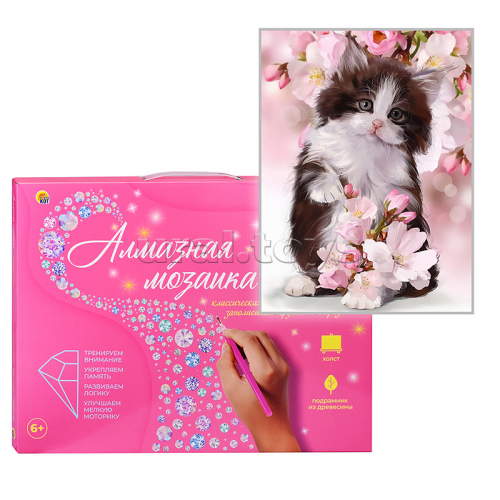 Алмазная мозаика 20х30 