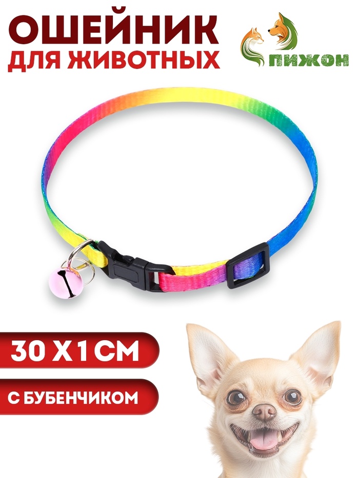Ошейник