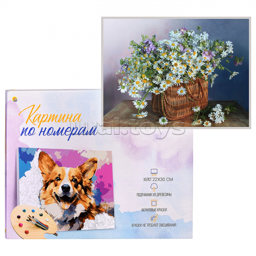 Холст с красками 22х30 по номерам 