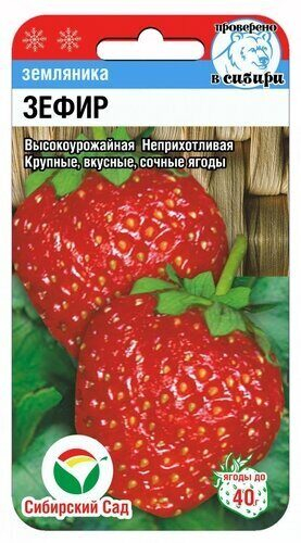 Земляника Зефир 10шт