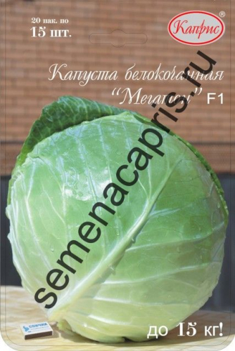 Капуста МегатонF1 б/к  (20 пак по15шт) (Нидерланды)