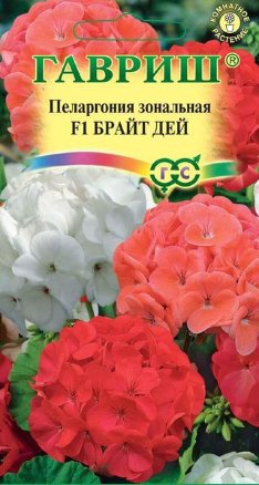 Пеларгония Брайт дей F1 Зональная 4шт